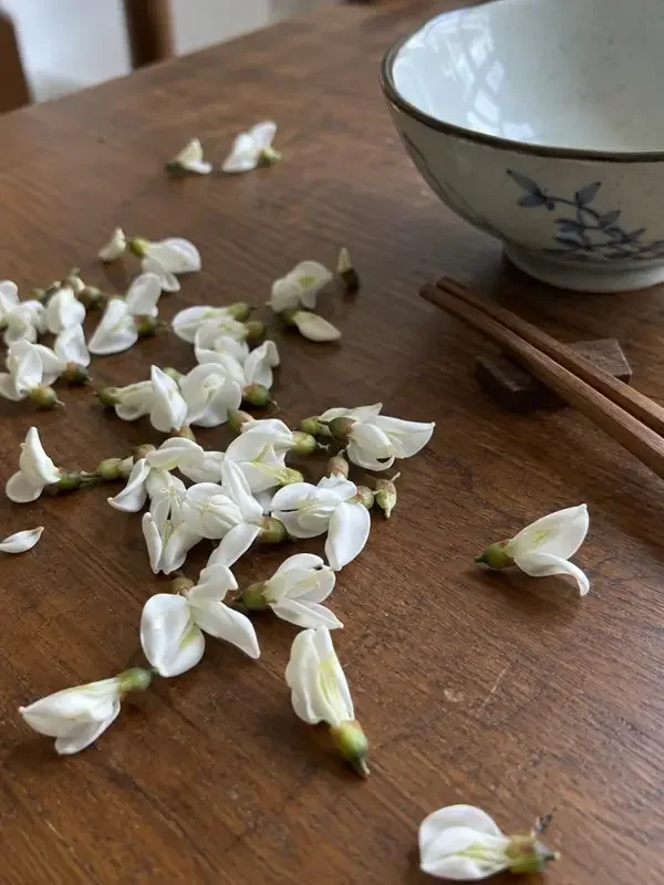 槐花落在饭桌上海报，在线小视频电影片单