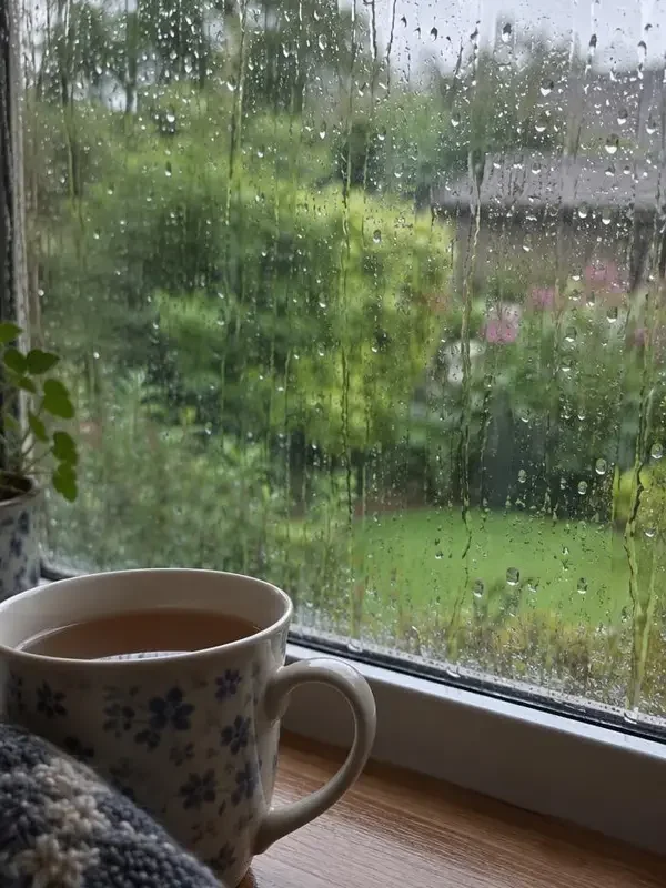 雨天请慢一点海报，在线小视频治愈专区片单